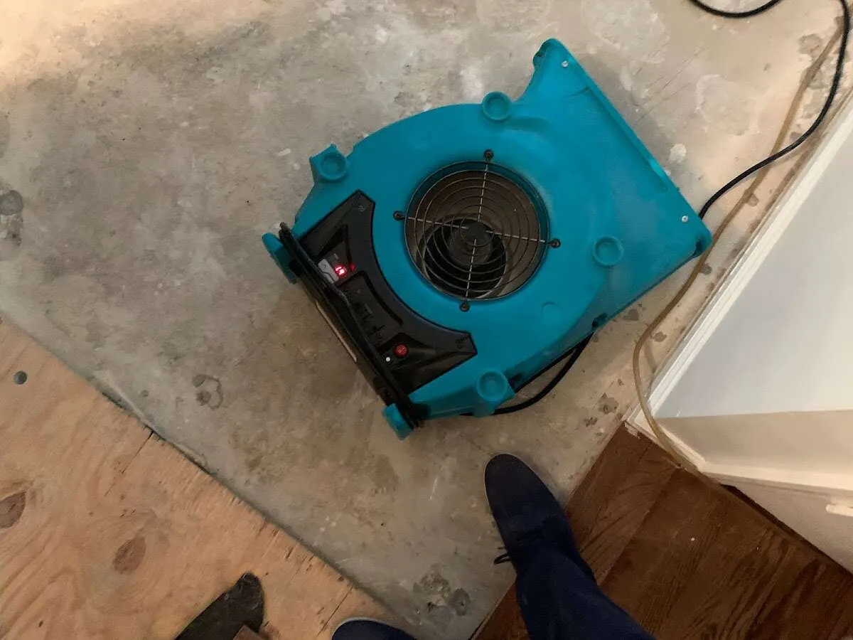 Air mover drying subfloor during Leak Detection & Repair in Forestdale