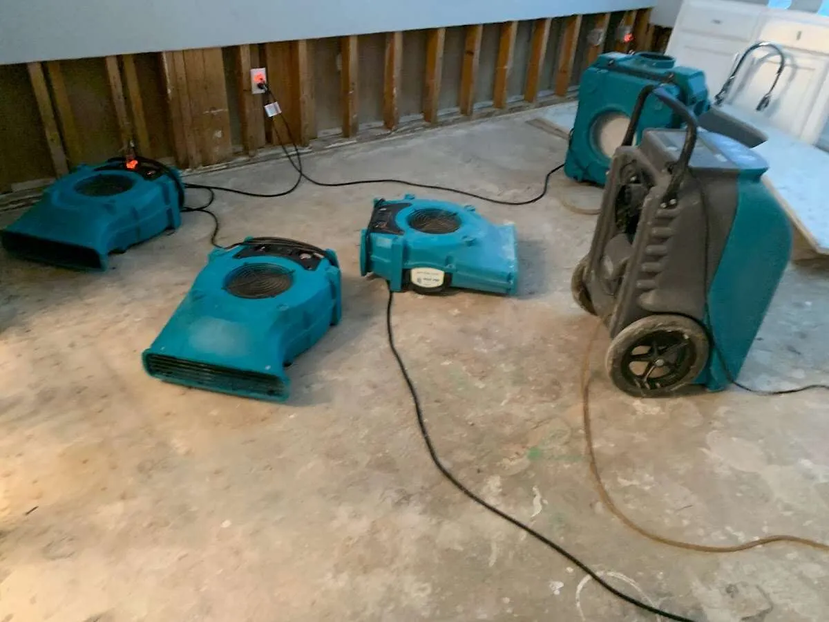 Water Damage Restoration services in Forestdale, AL